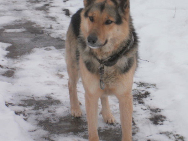 Леонид Брунов