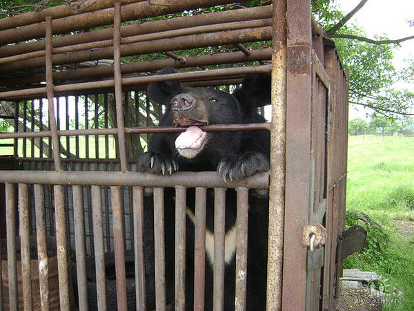 Алексей Крумкин