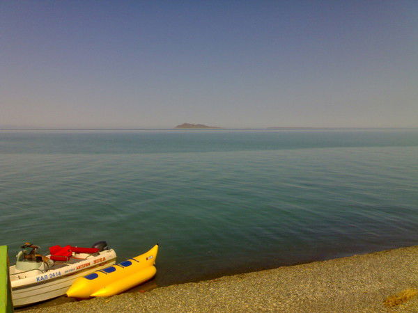 Сауле Дюсембаева