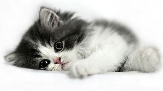 Наденька :) *****