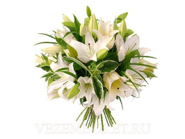 Лилия Климова