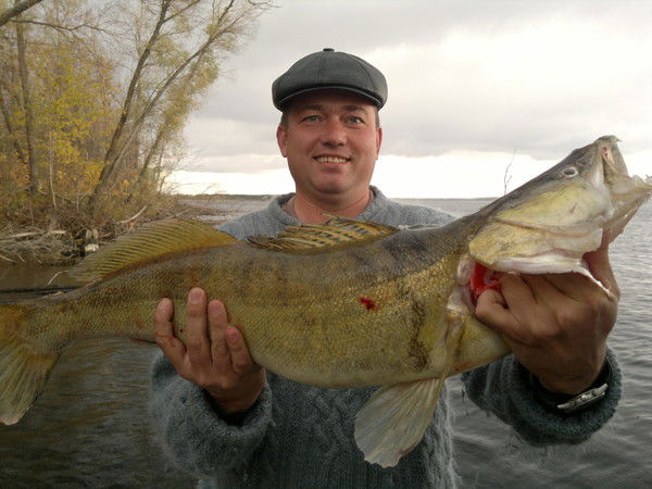 Денис Сурков