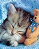 Александр Расол