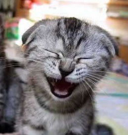 Айрат Мисалимов