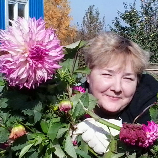 Лапушка Ласкавая