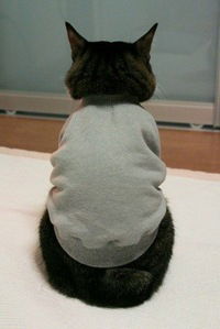 Юля Николаева