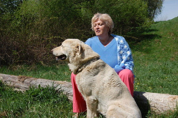 Елена Шитова