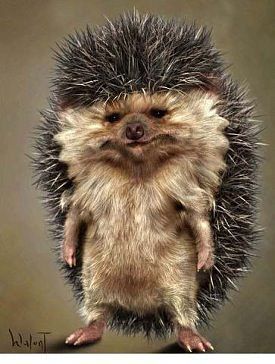 Марго Необыкновенная