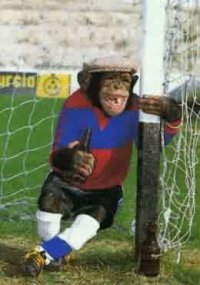 Олег Софронов