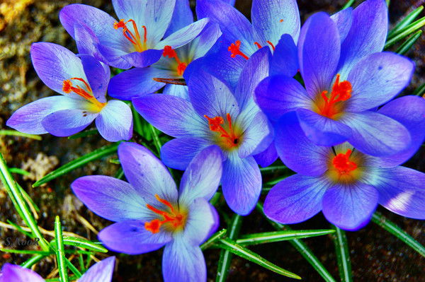 Константин Решетов