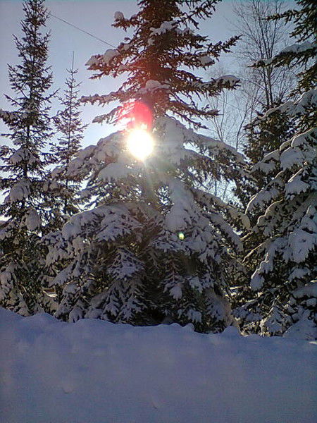 Кпксодействие Нефтекамск Виктория