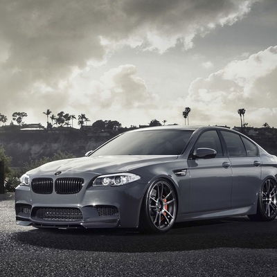 Андрей Неготько