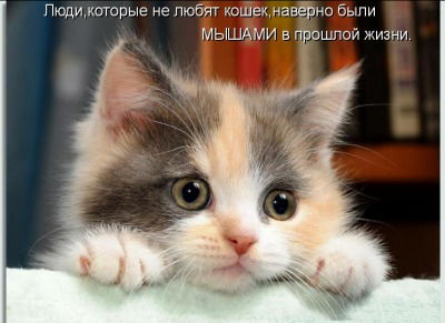 Галина Богданчук(Ози)