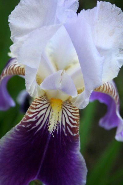 Светлана Быстрова