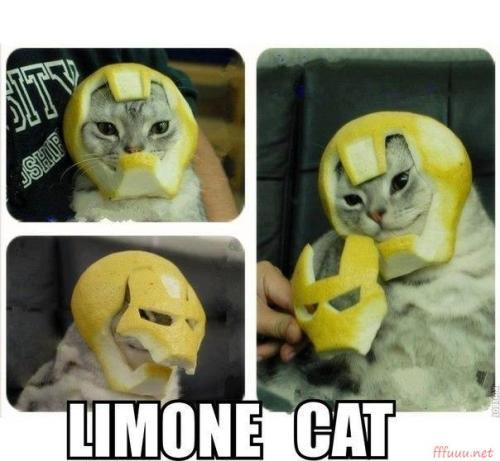 Амир Бейсембаев