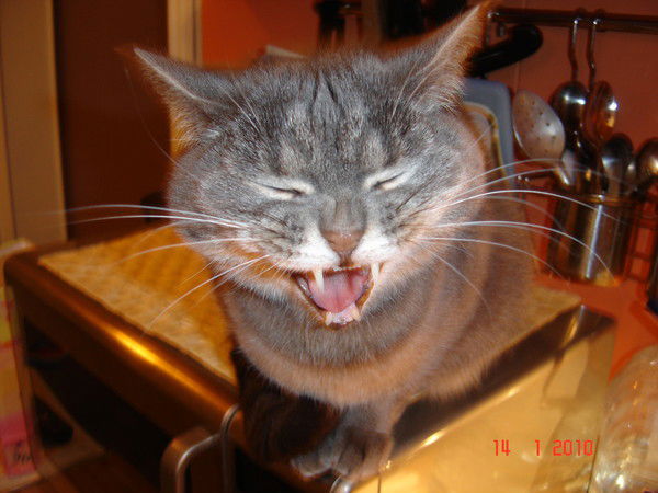 Дмитрий Соколов