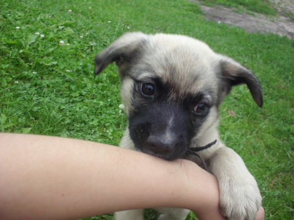 Сашенька Тищенкова