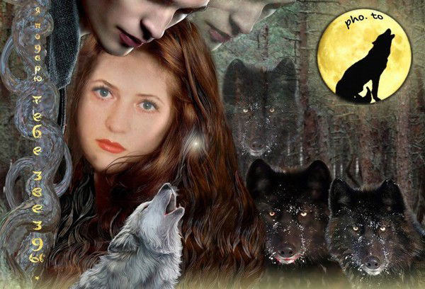 Ольга Однойко (Сашина)