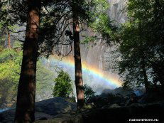 Анна Боровкова