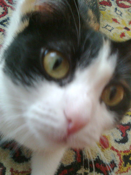 Ольга Нужина