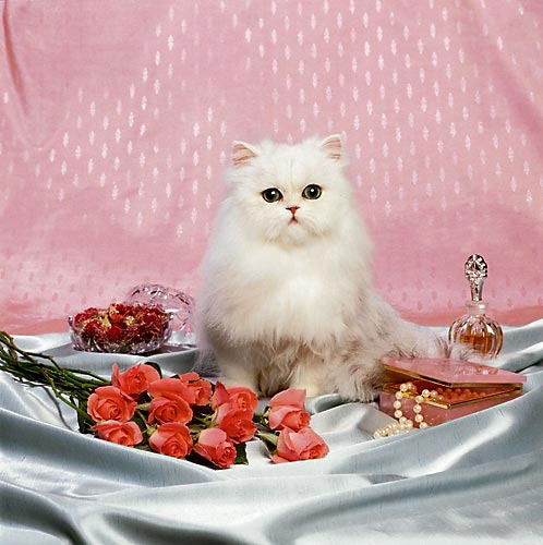 Надежда Амеличкина