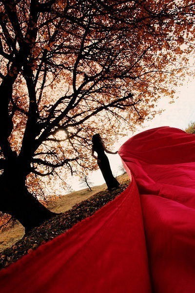 Офис Планета