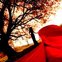 Офис Планета