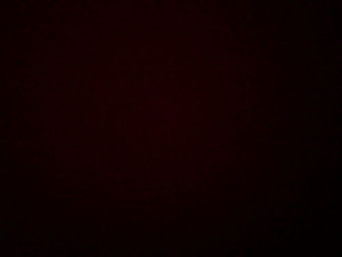 Даурен Салимов