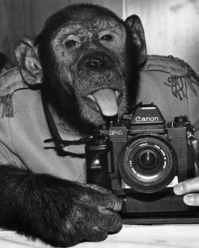 Анна Орнекли