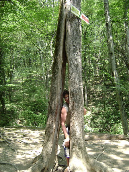 Сергей Терещенко