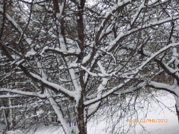 Наталия Раманина