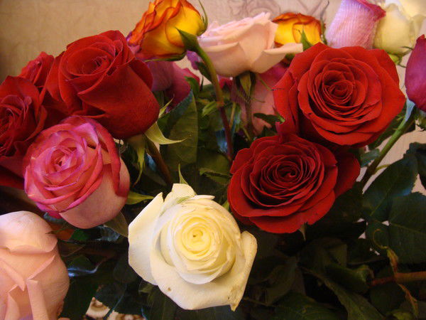 Ирина Мокина