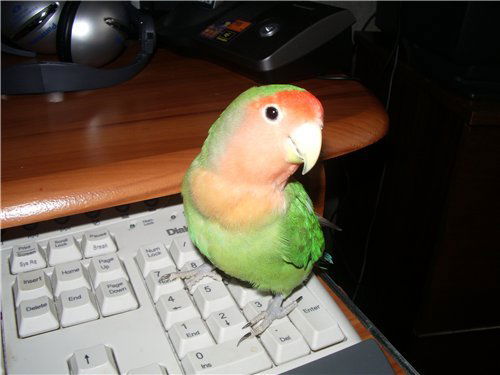 Наталья ******