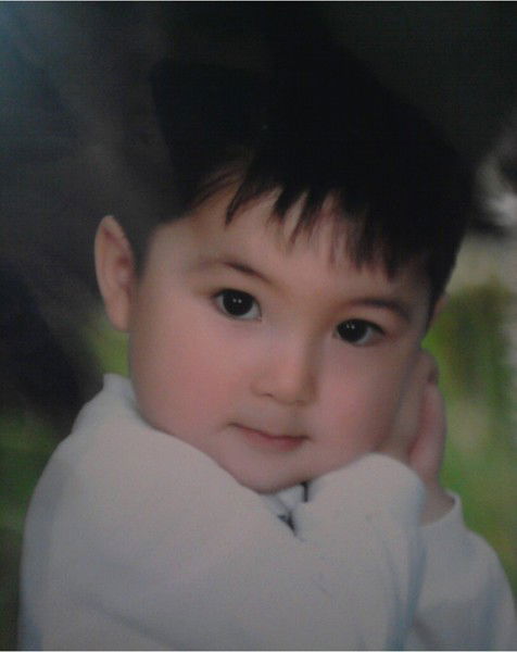 Дина Степнова