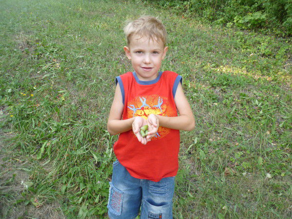 Максим Авдеев