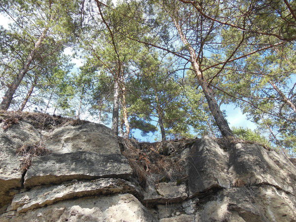 Серега Серега