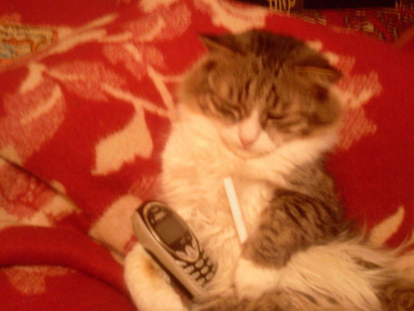 Богдан Лунин