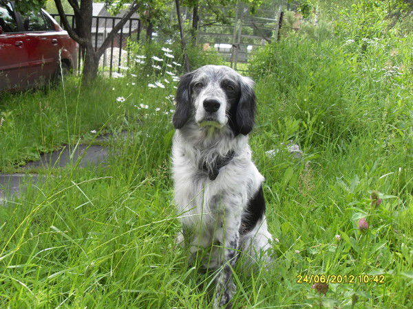 Мария Гладких