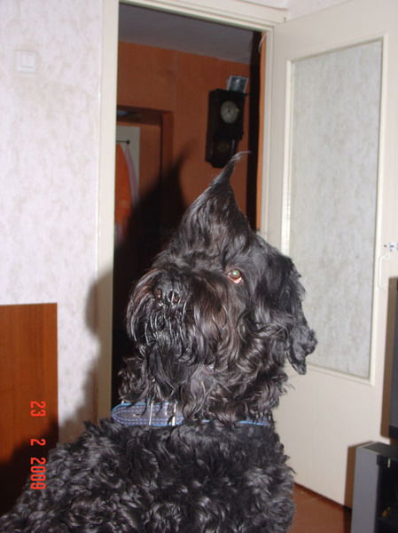 Надежда Лениц