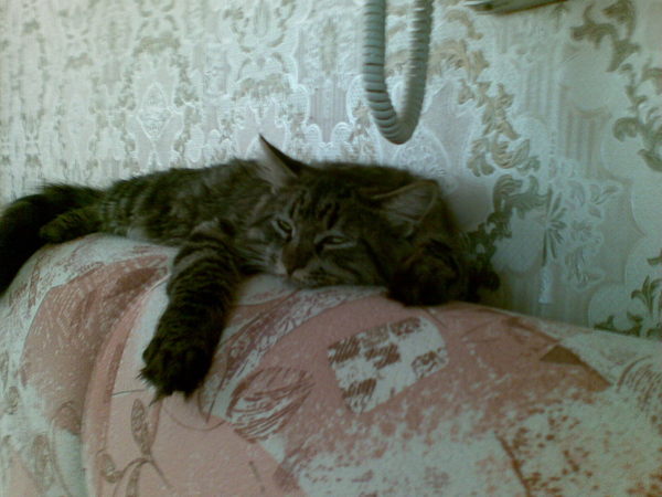 Александр Бардадьн