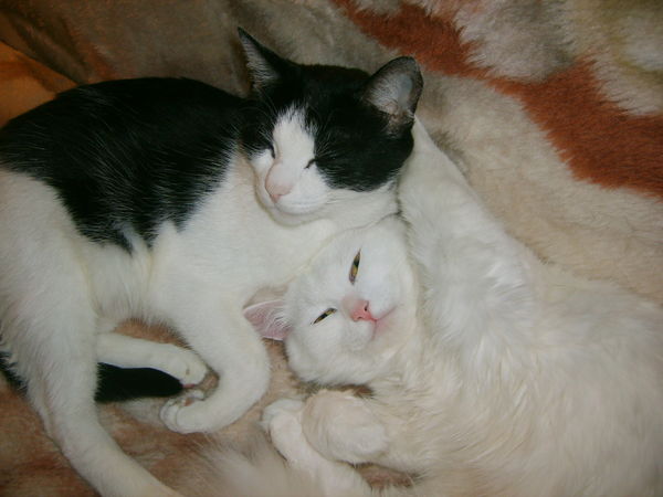 Геннадий Воробьёв