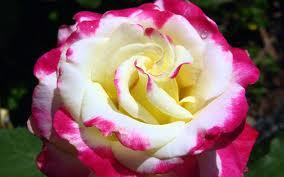 Майгуль Уйкасбаева