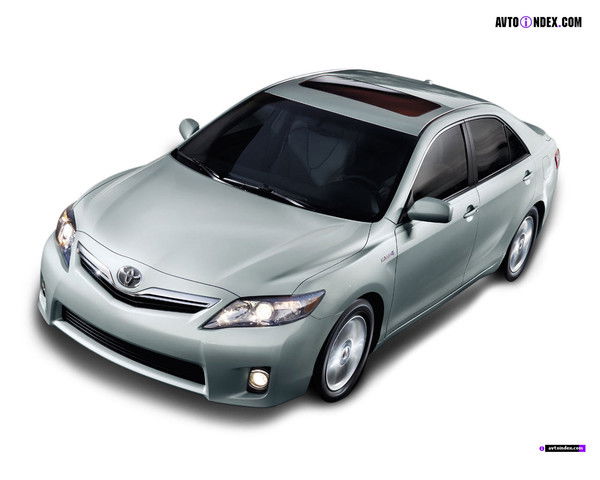 Александр Цой