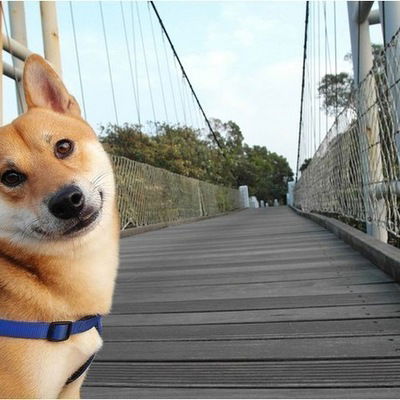 Влад Панкратов