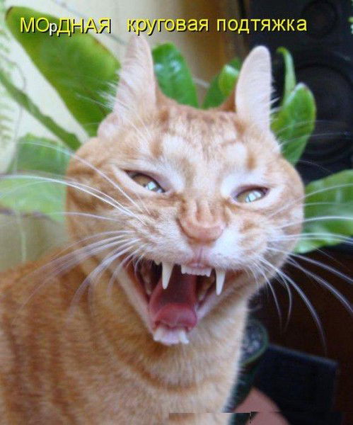 Александр Чистяков