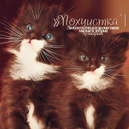 » Пошлячка `| ™