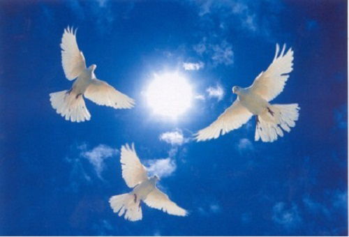 Александр Борсяк