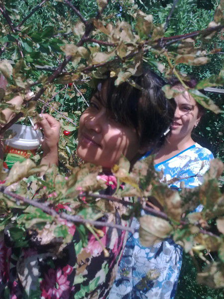 Динара Курамаевa