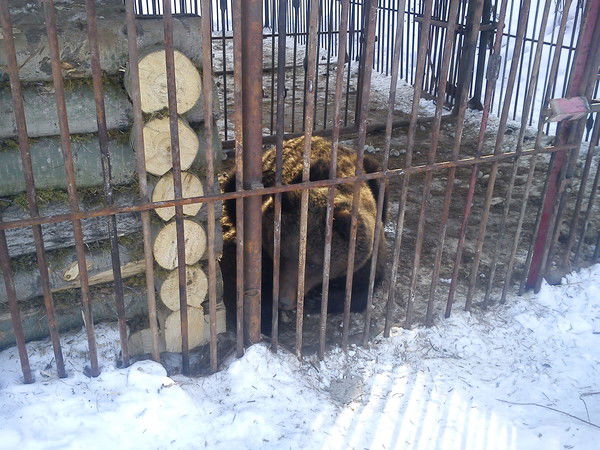 Сергей Барабанов