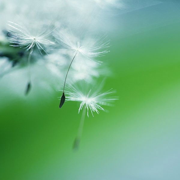 Марина Лозовая